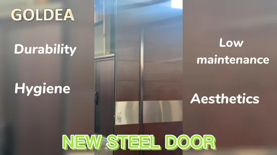 Vendita calda per interni ed esterni in acciaio classico europeo personalizzato porta da garage automatica porta in metallo in acciaio nero bianco grigio