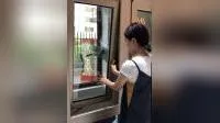 Foshan Factory Hung Black Window with Screen Double Hung Windows with Aluminum Frame and Glass Pane 